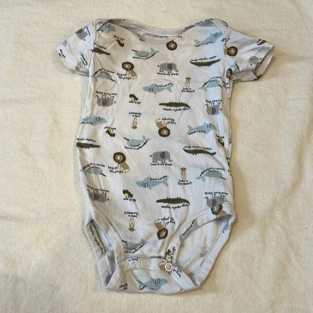 Bundle of 9 Month Bodysuits